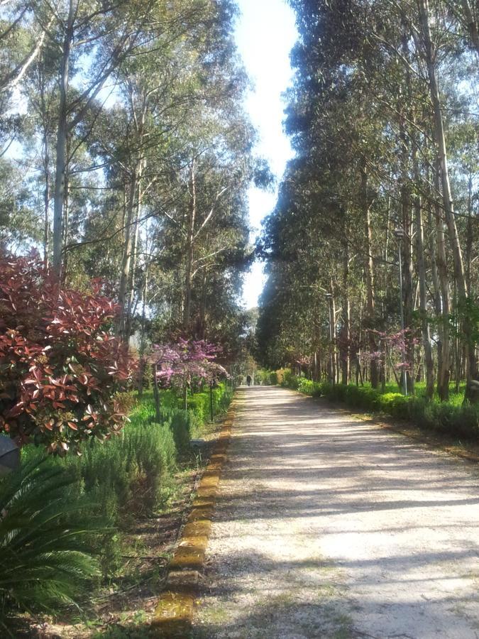 Il Nibbio Reale Country House Rocca d'Evandro Ngoại thất bức ảnh