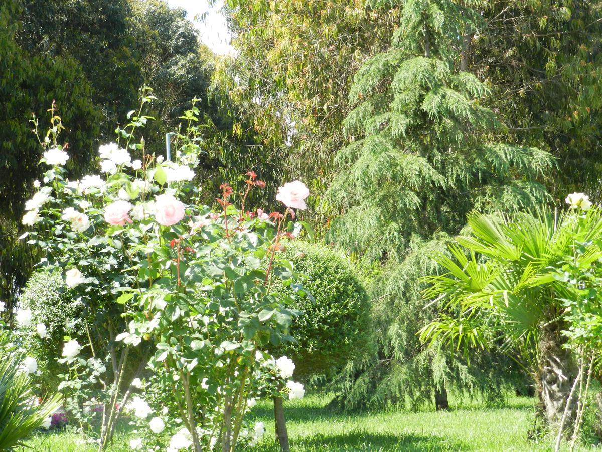 Il Nibbio Reale Country House Rocca d'Evandro Ngoại thất bức ảnh